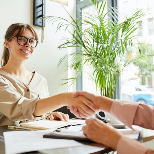 Partners shaking hands